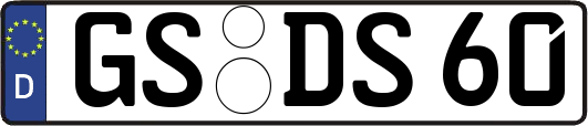 GS-DS60