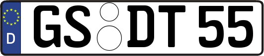GS-DT55