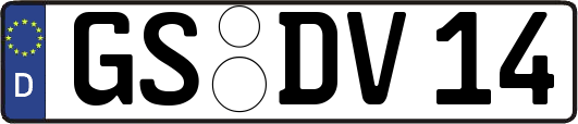 GS-DV14