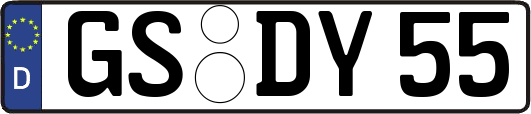 GS-DY55