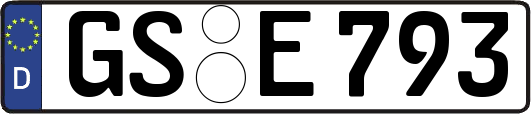 GS-E793
