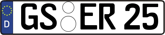 GS-ER25