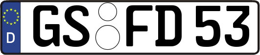 GS-FD53