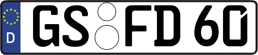 GS-FD60
