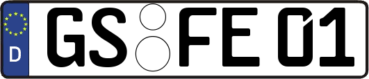 GS-FE01