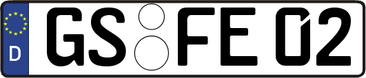 GS-FE02