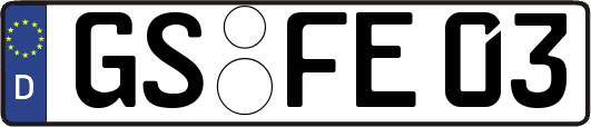 GS-FE03