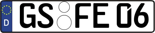 GS-FE06