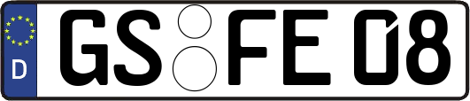 GS-FE08