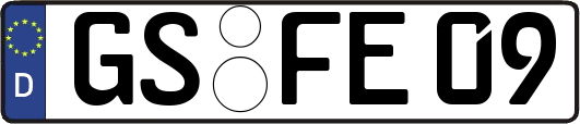 GS-FE09