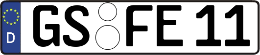 GS-FE11