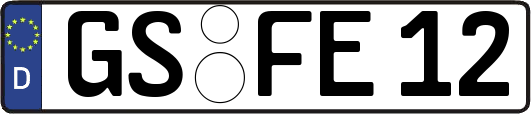 GS-FE12