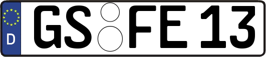 GS-FE13