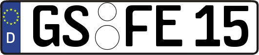 GS-FE15