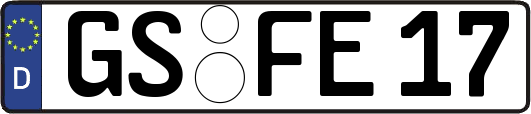 GS-FE17