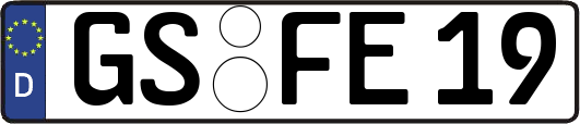 GS-FE19