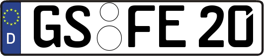 GS-FE20