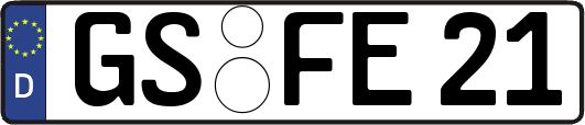 GS-FE21