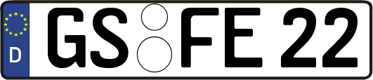 GS-FE22