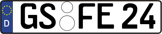 GS-FE24