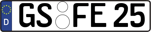 GS-FE25