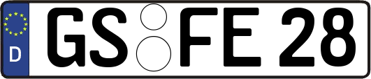 GS-FE28