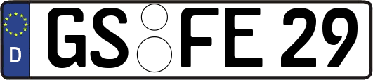 GS-FE29