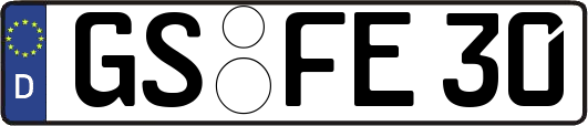 GS-FE30