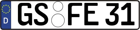 GS-FE31