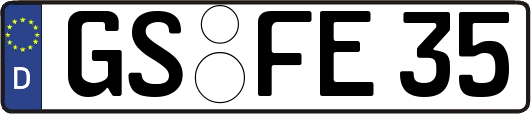 GS-FE35