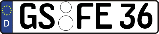 GS-FE36