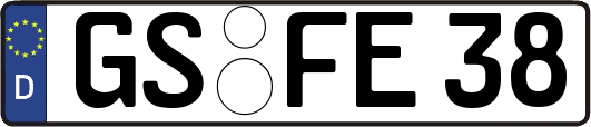 GS-FE38