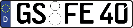 GS-FE40