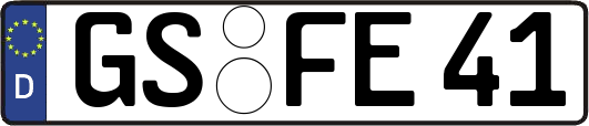 GS-FE41