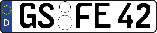 GS-FE42