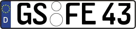 GS-FE43