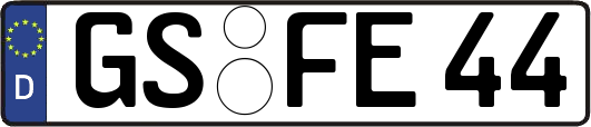 GS-FE44