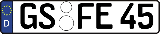 GS-FE45