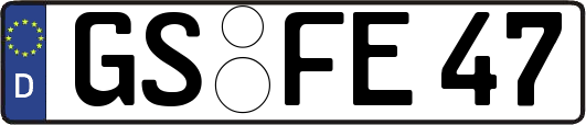 GS-FE47