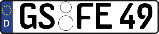 GS-FE49