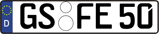 GS-FE50