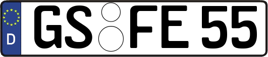 GS-FE55
