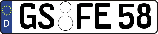 GS-FE58