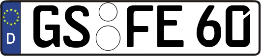 GS-FE60