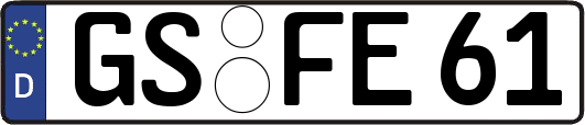 GS-FE61
