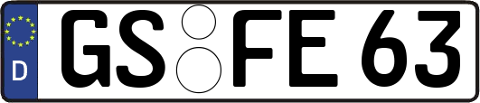 GS-FE63
