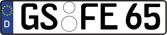 GS-FE65
