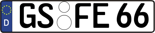 GS-FE66