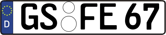 GS-FE67
