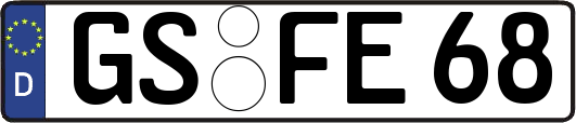 GS-FE68